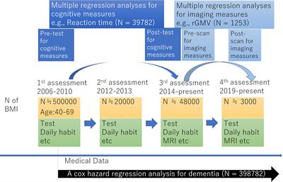 Effects of Body Mass Index on Brain Structures in the Elderly: Longitudinal Analyses